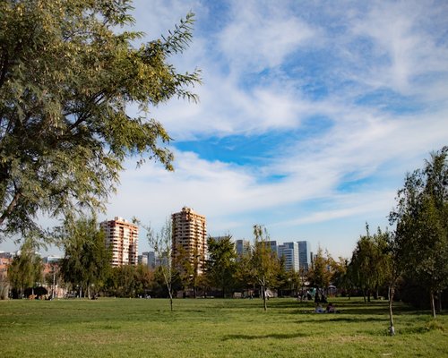 person taking a quiet walk in a local urban park in chile